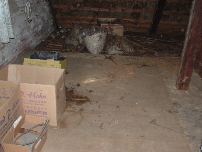 Neuke, J.Th. Schädlingsbekämpfung